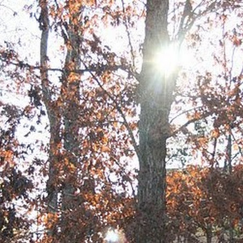 Meet your Posher, Beckey